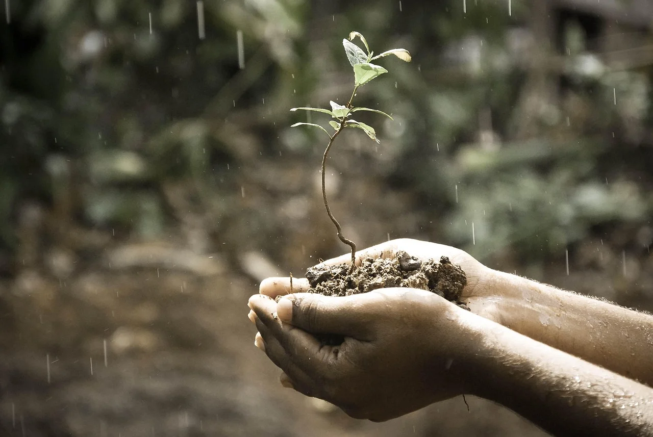 Bioremediacja gleby — mikroby kontra metale ciężkie